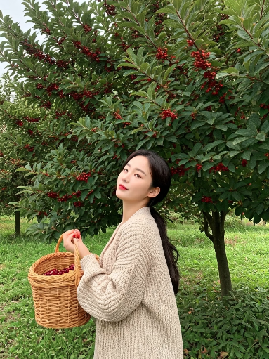 보리수 열매 효능