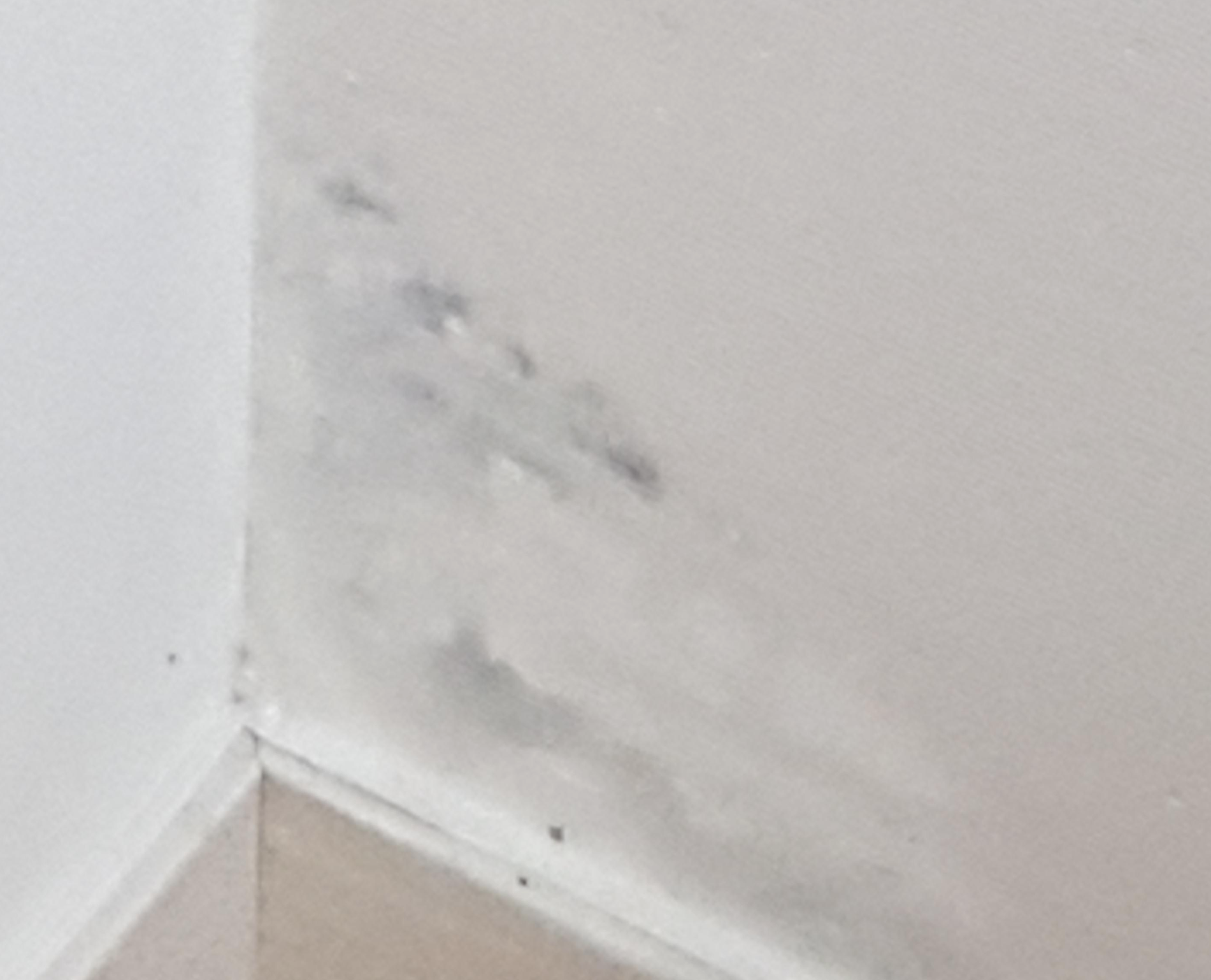 도배 벽지 훼손 책임범위