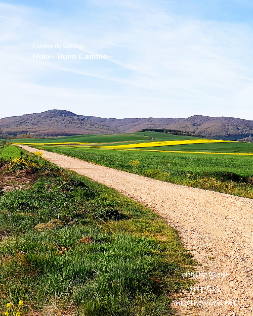 산티아고 순례길