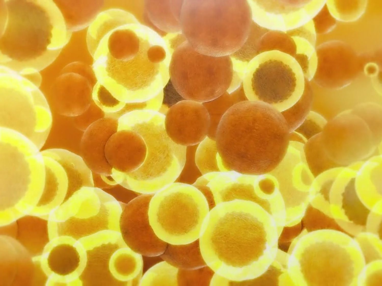 리포조말 비타민c 부작용