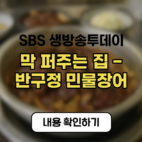 SBS 생방송투데이
