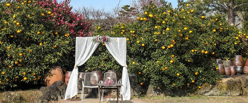 휴애리 유채꽃 축제 감귤체험, 휴애리는 제주에서 아름다운 향토공원으로 한라산이 보이는 쉼과 제주의 향기를 느낄 수 있는 자연 생활 체험 공간입니다. 매년 매화, 수국, 핑크뮬리, 동백꽃 축제가 열리고 있습니다. 계절마다 아름답게 피는 꽃을 제주도에서 본다면 잊지 못할 여행이 될 것입니다.
