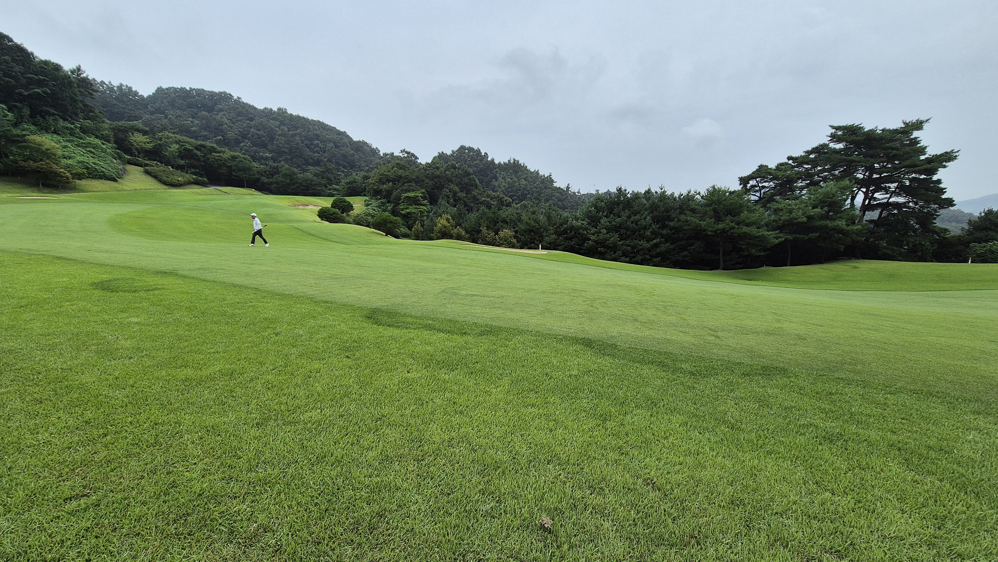 골프존카운티 진천