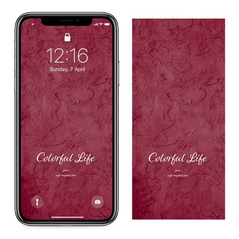 09 자주색 벽 C - Colorful Life 자주색배경화면