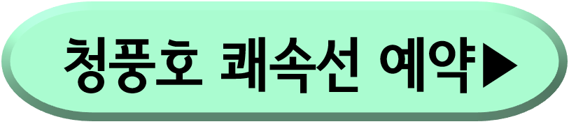 스피드보트 예약방법