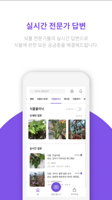 식물이름 찾기 어플, 식물 검색하고 찾기