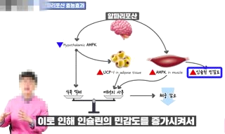 혈당 낮추는 방법 음식 운동