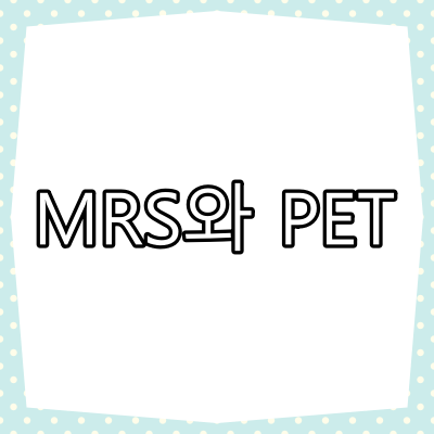 MRI 스펙트로스코피(MRS)