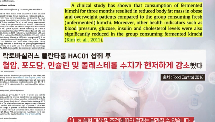 혈당유산균 효능