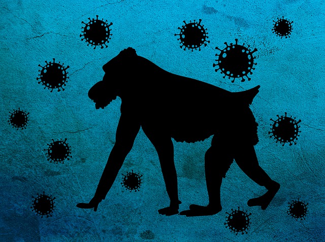 원숭이두창-초기증상-원숭이두창-전염