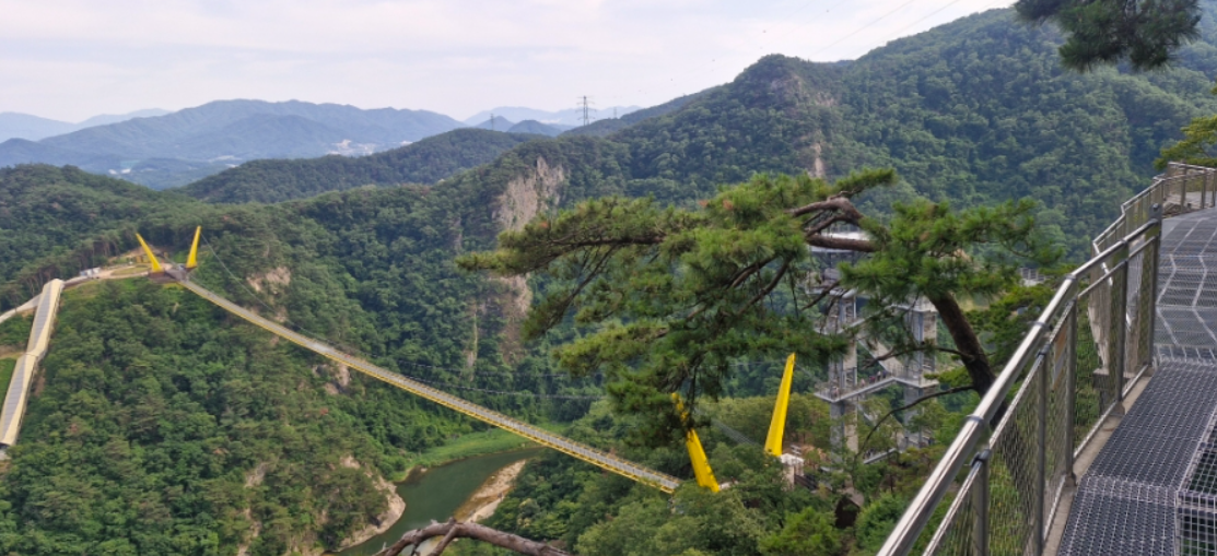 원주 소금산그랜드밸리의 울렁다리와 스카이타워