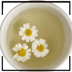 여성 갱년기에 좋은 음식