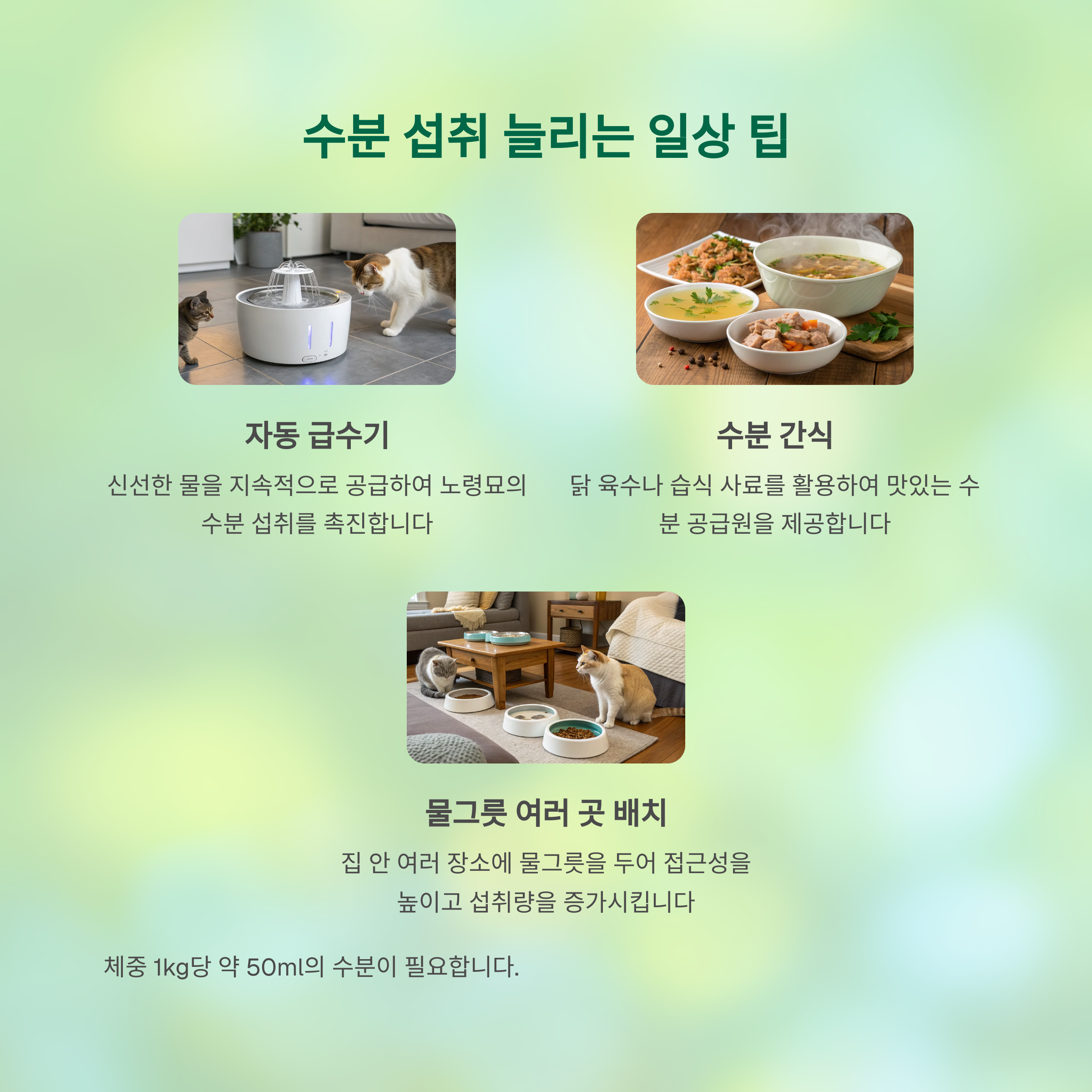 수분 섭취