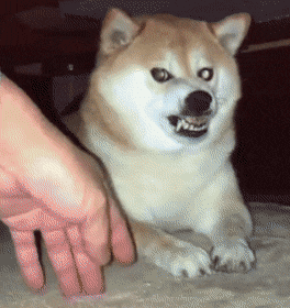 츤데레 짤