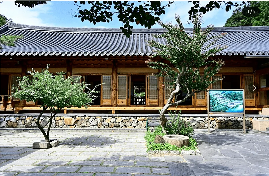 원동 미나리축제 25년 완벽 가이드