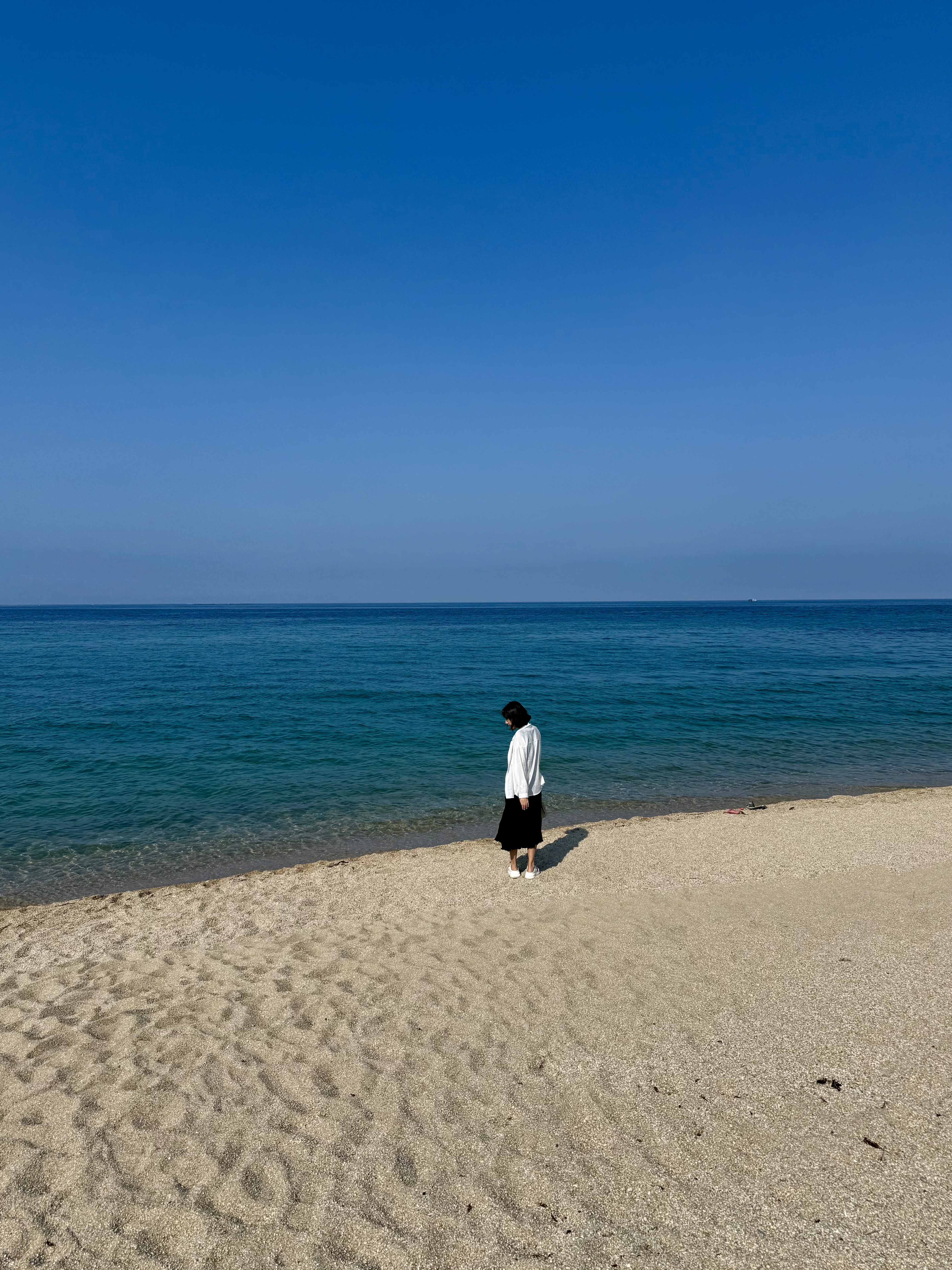 속초 바다정원카페 프라이빗비치