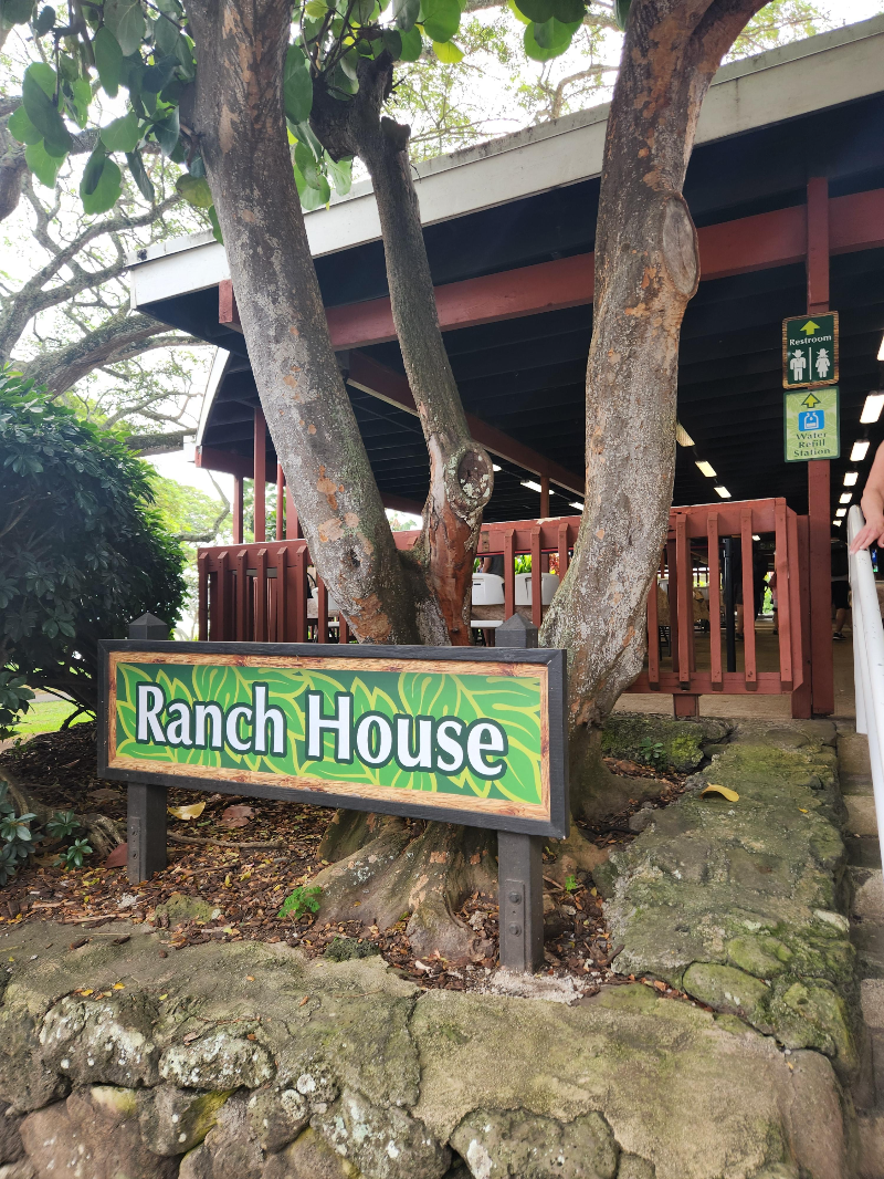 하와이 쿠알로아랜치 그로운 투어 ( 농장 투어 )