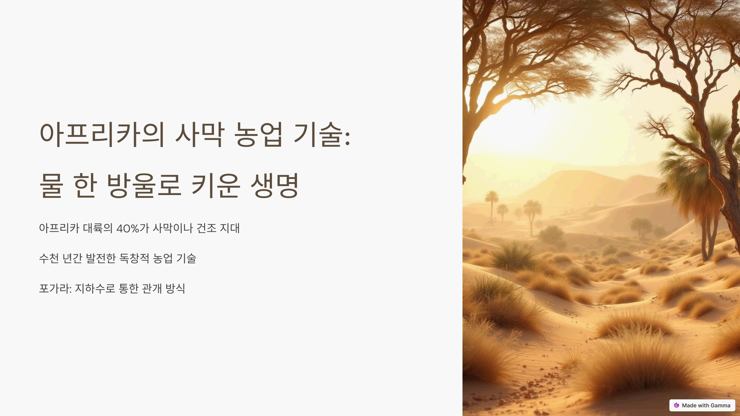 아프리카의 사막 농업 기술: 물 한 방울로 키운 생명