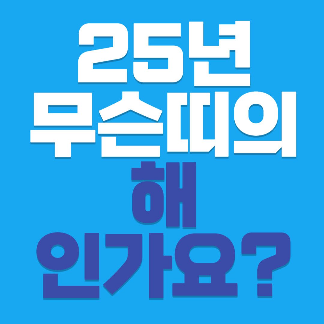 25년 무슨띠의 해