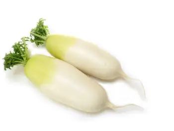 위염에 좋은 음식&amp;#44; 나쁜 음식