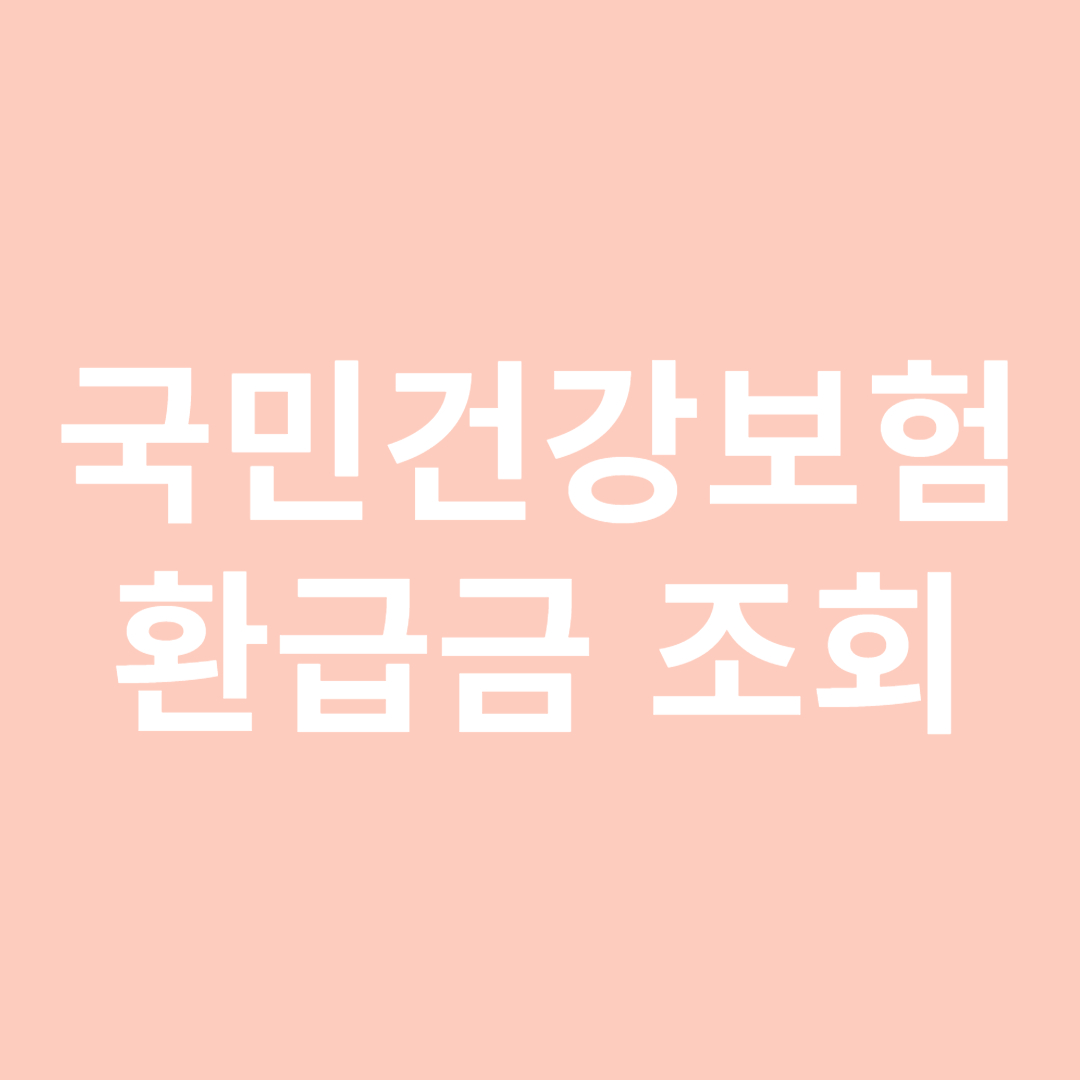 국민건강보험 환급금 조회