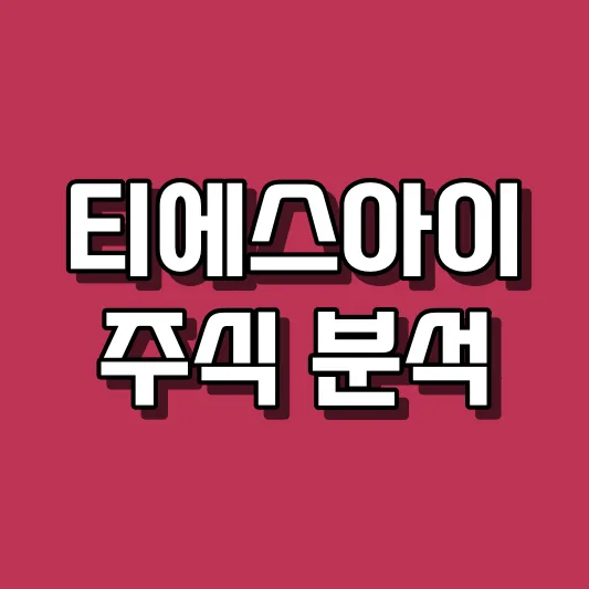 티에스아이 주식 분석
