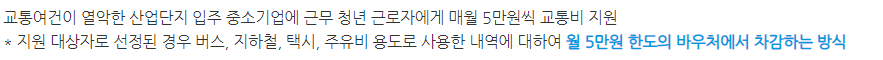 청년 교통비 지원, 청년동행카드 혜택 (매월 5만 원 바우처 지급)