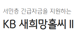 국민은행 새희망홀씨대출