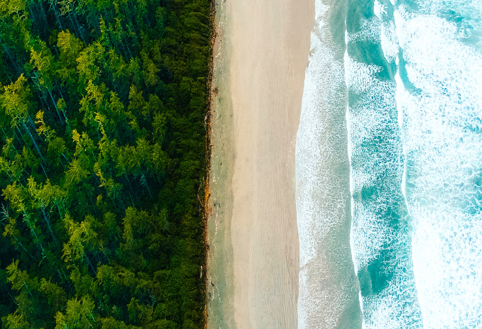 바닷가 옆 숲내음