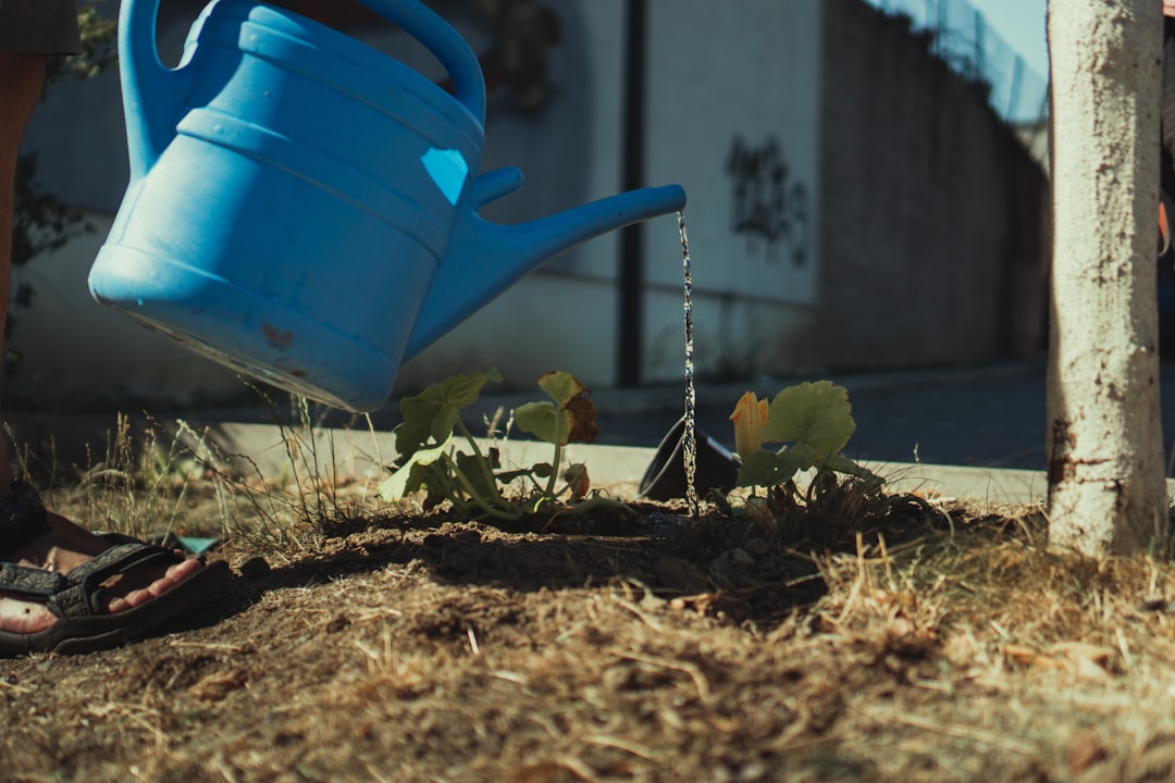 Propagation
