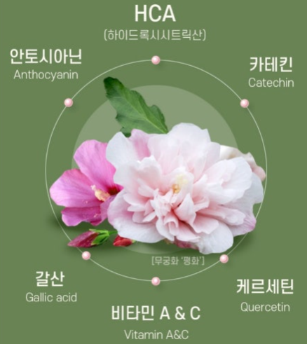 무궁화 다이어트, 무궁핏 효과 및 후기