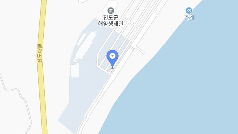 진도 신비의 바닷길축제 2026