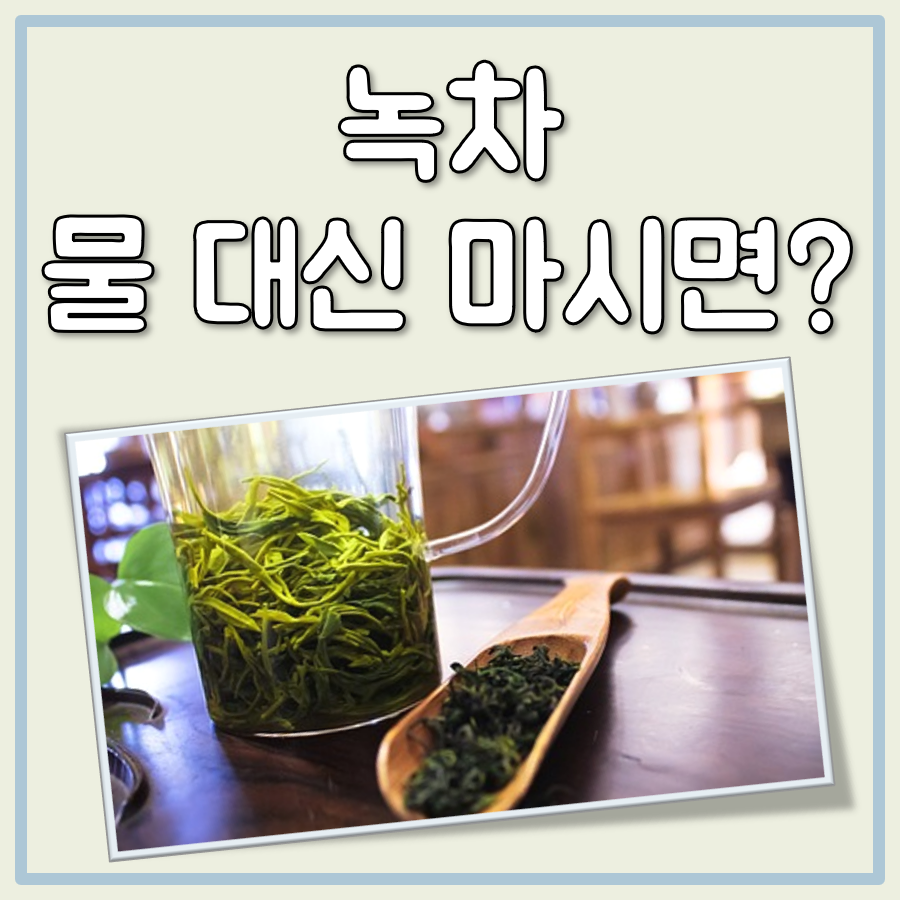 녹차 물 대신 대표 이미지