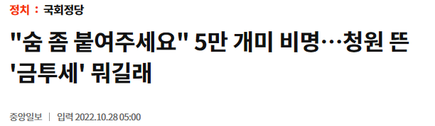 금투세 기사