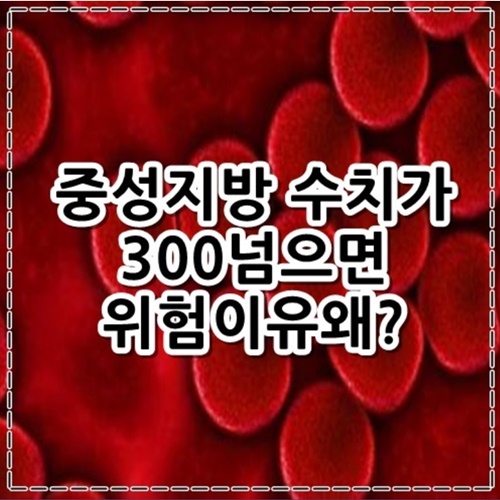 중성지방 수치가300넘으면 위험이유 왜?
