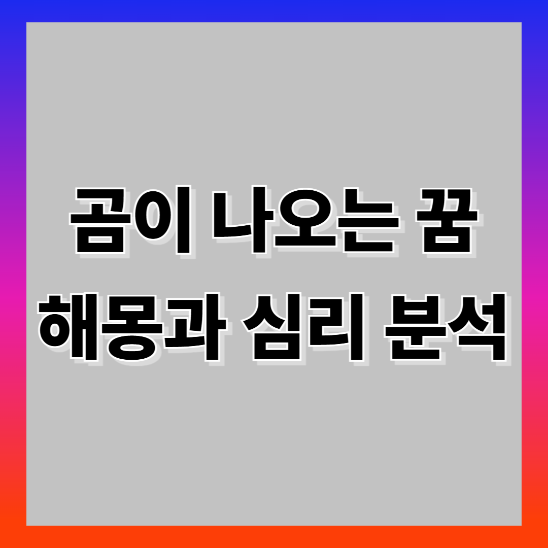 곰 꿈 해몽
