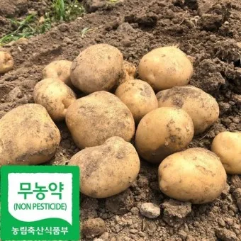 nv_감자 삶는 방법 샐러드 레시피_15