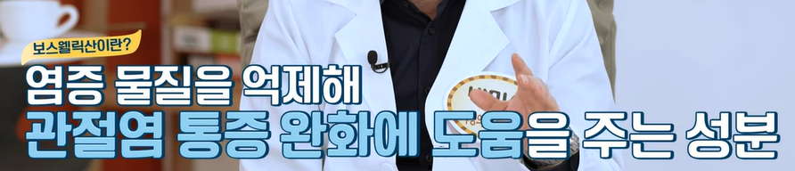 보스웰리아 효능