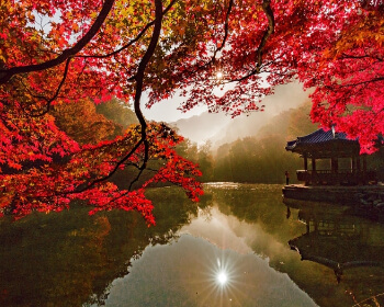 단풍 명소 내장산_2