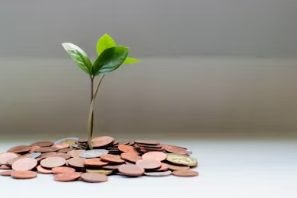 새마을금고 예금금리 가장 높은곳 7% 예금금리 비교사이트