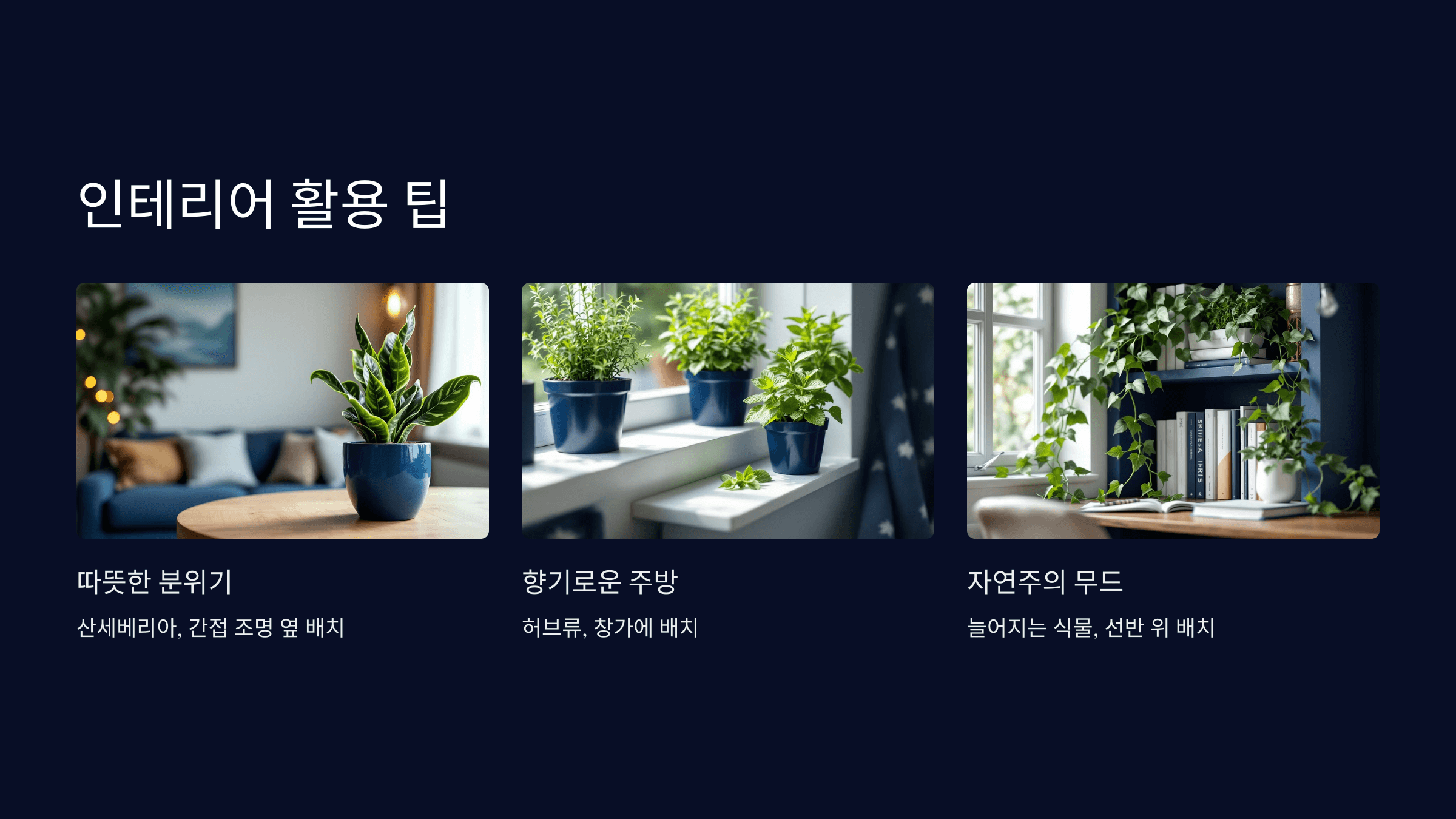활용 팁