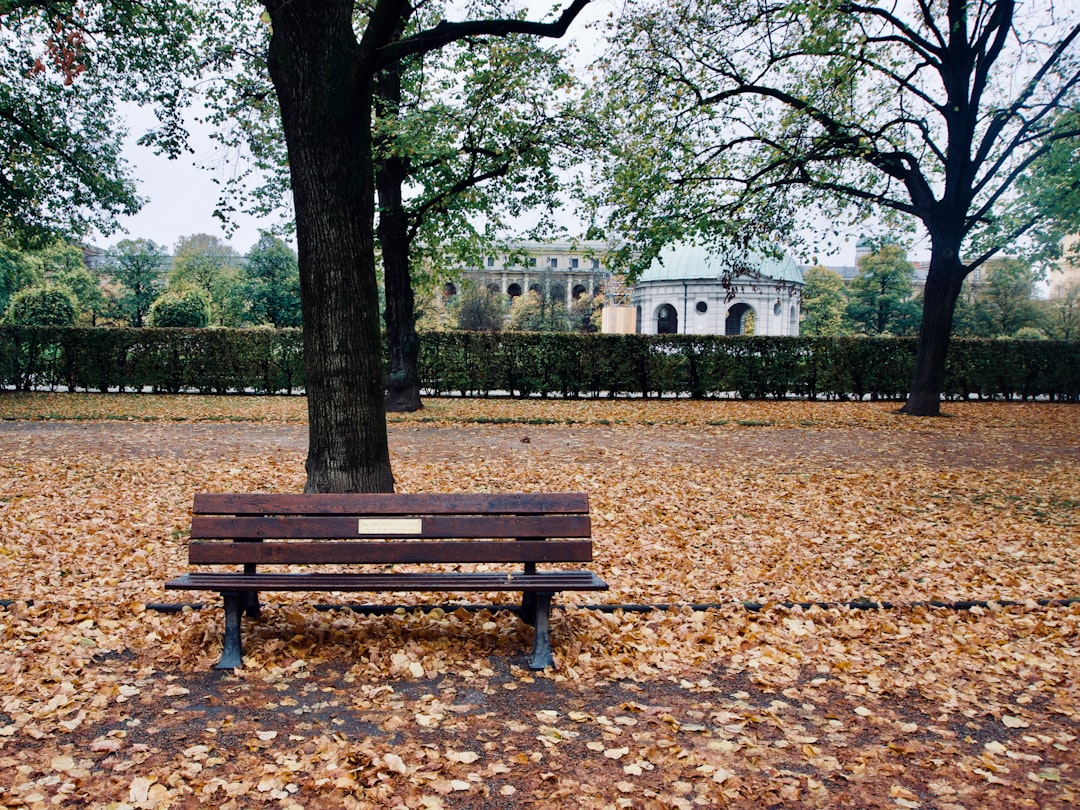 bench