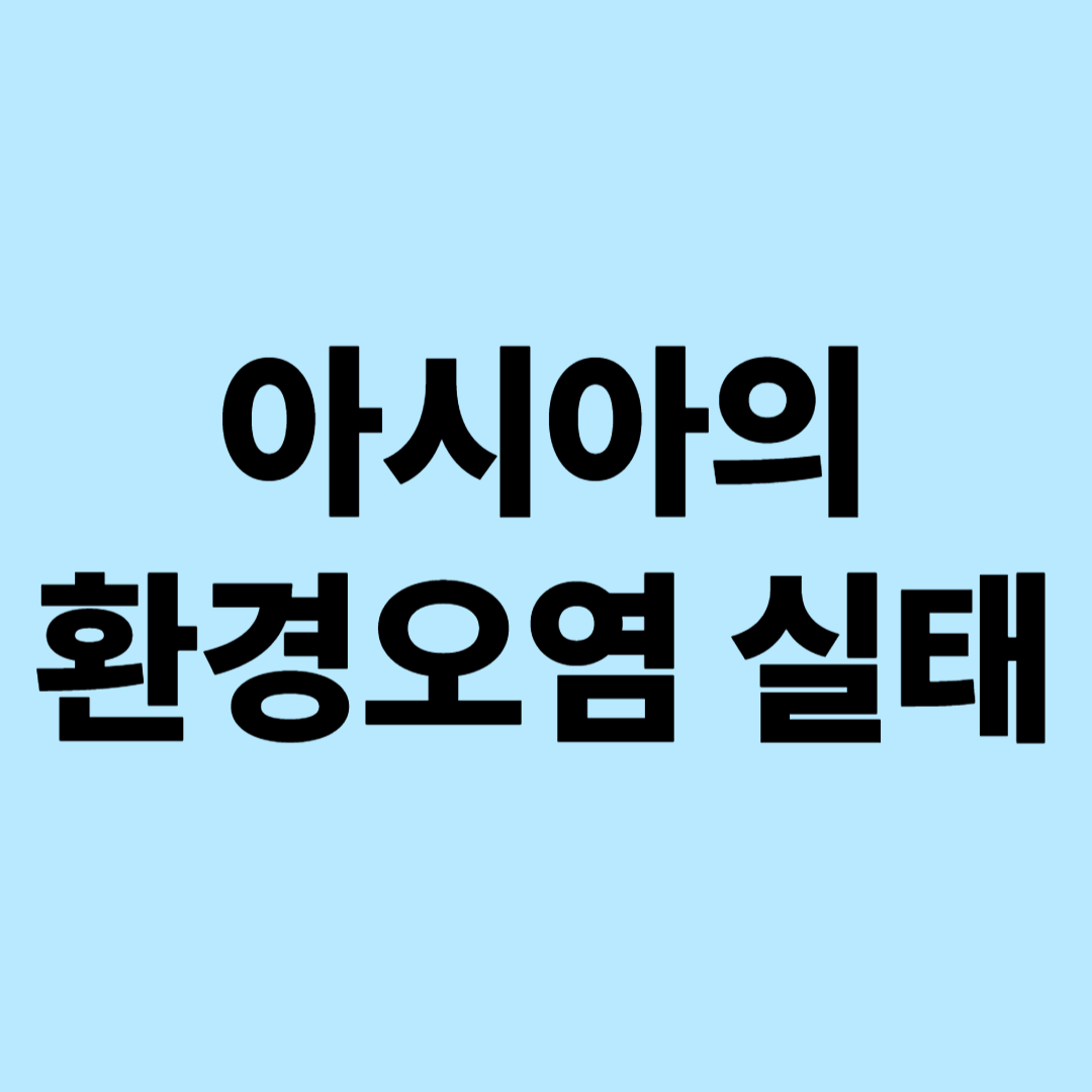 아시아의 환경오염 실태