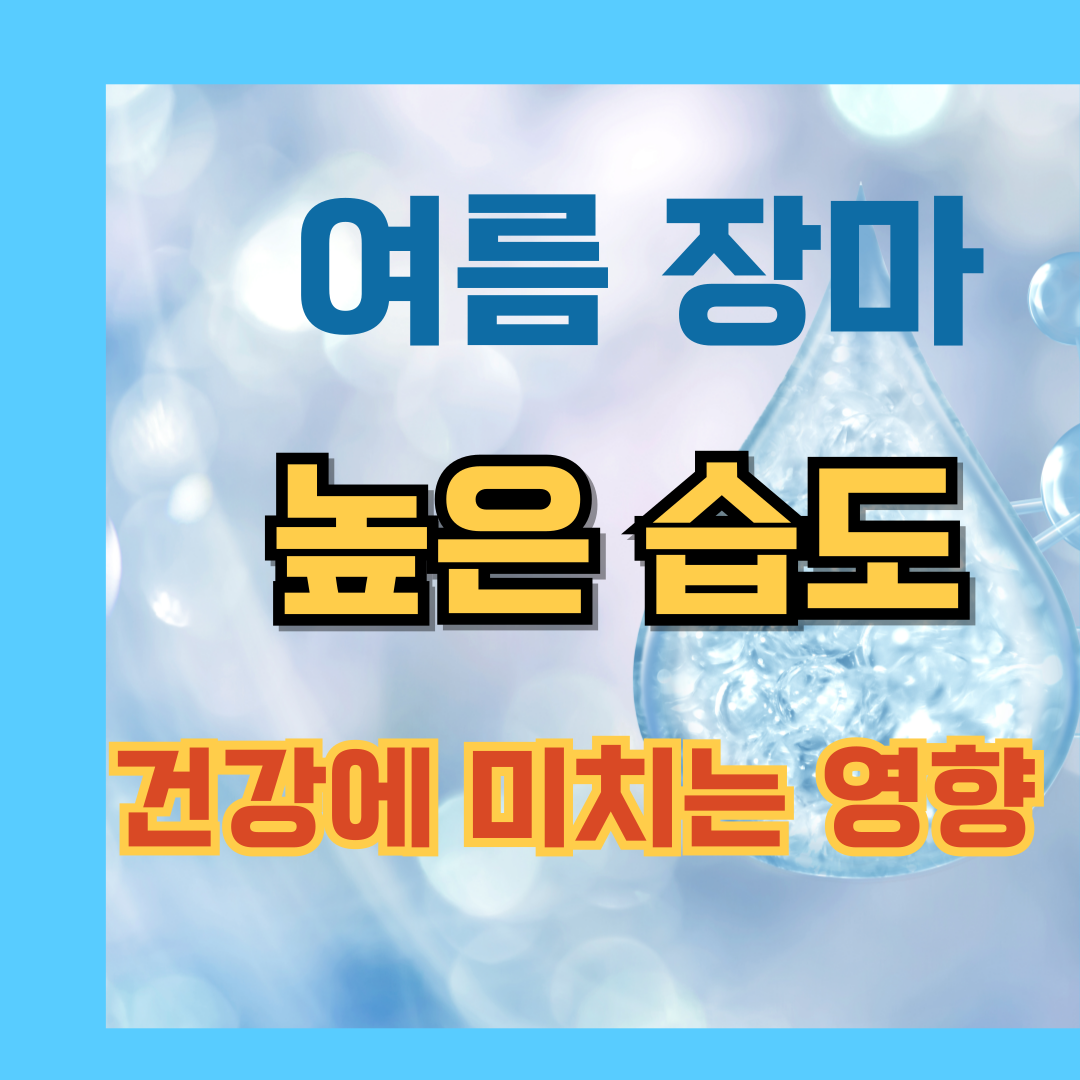 여름장마 습도 건강에 미치는 영향