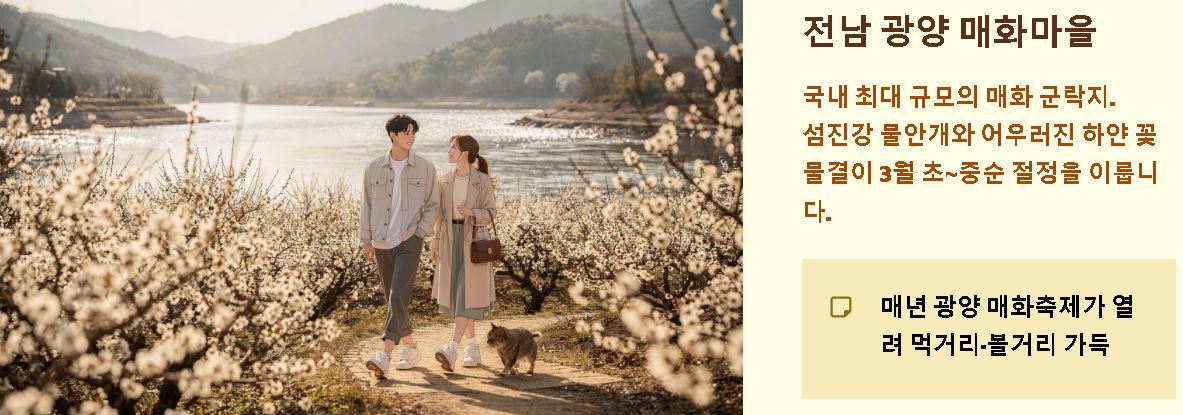 매화 개화시기 미리보기