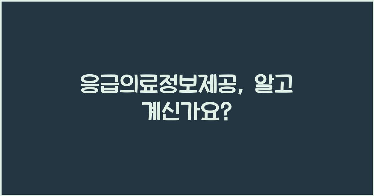 응급의료정보제공