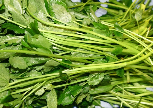 다이어트에-좋은-가을-제철음식-참나물