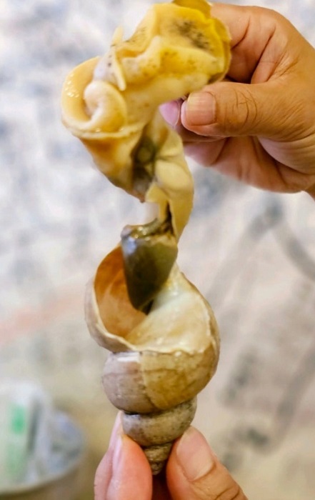 전현무계획-골뱅이탕-동표골뱅이