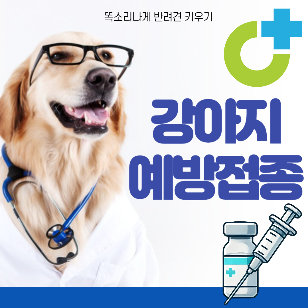 강아지 필수예방접종 가격 주기 종류