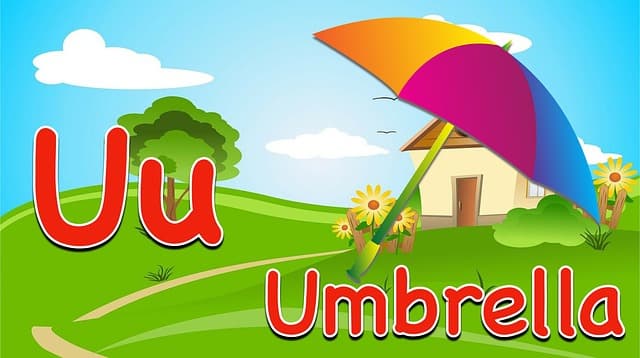 영어 교육에서 파닉스 학습 순서